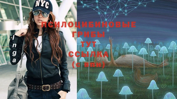 круглые Михайловск